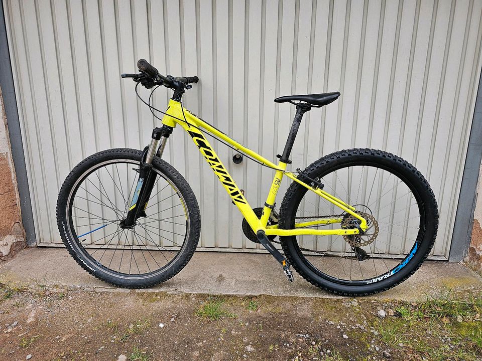 MTB Fahrrad Conway MS327 27"5 Zoll in Neunkirchen