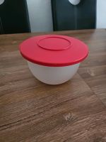 Tupperware Schüssel 1,3 l Baden-Württemberg - Ditzingen Vorschau