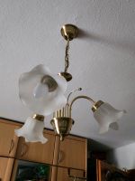 2 x Deckenleuchte Deckenlampe Lampe E 14 mit Leuchtmittel Nordrhein-Westfalen - Königswinter Vorschau