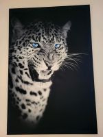 Leopard Wandbild Niedersachsen - Emmerthal Vorschau
