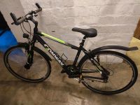 Fahrrad Conway 28 Zoll Schleswig-Holstein - Bad Segeberg Vorschau