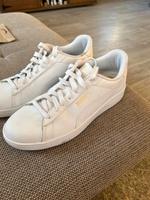 Puma Turnschuhe Sachsen - Pirna Vorschau