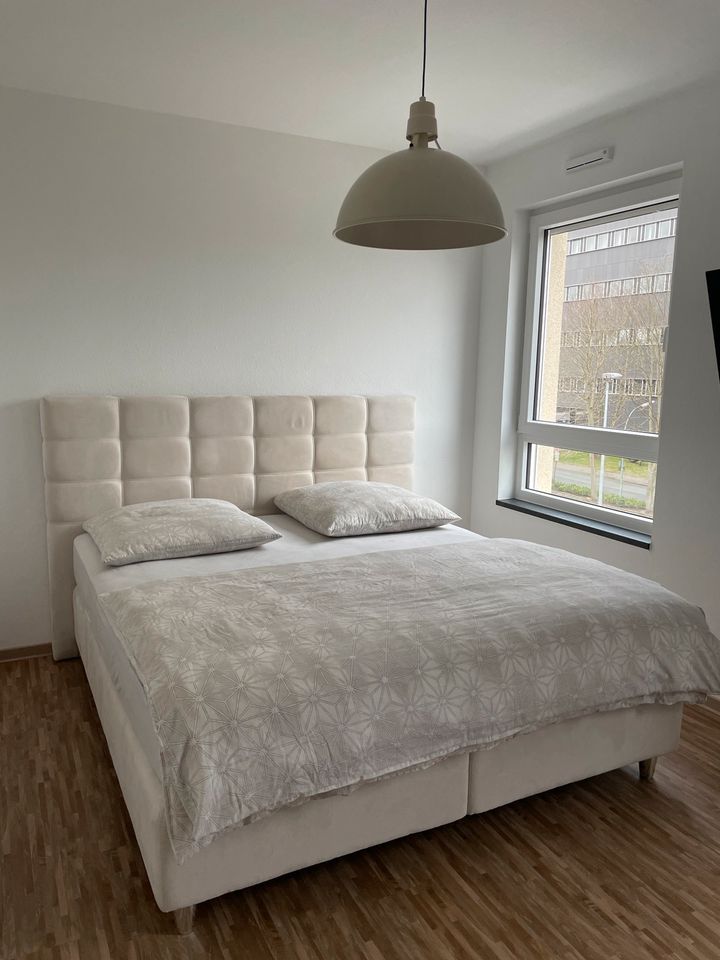 Uni Polster Boxspringbett creme beige Bettgestell Samt in Neuss