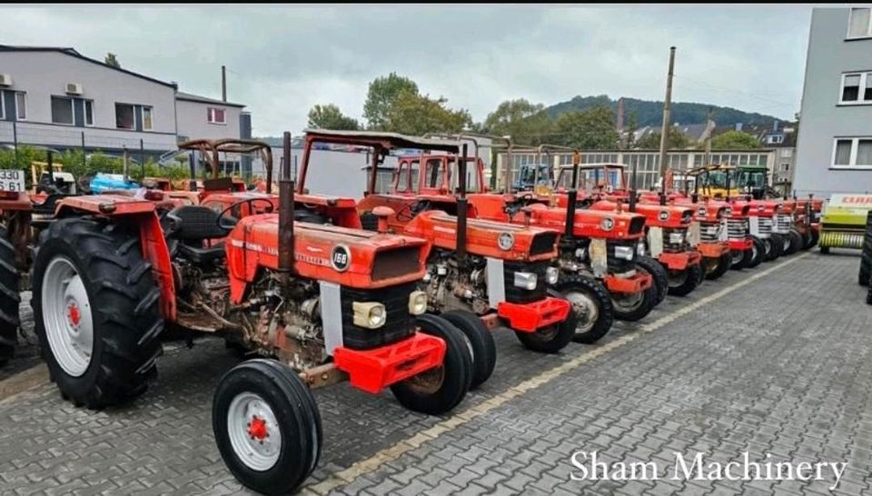 Suche MF Massey Ferguson Traktor in Wuppertal