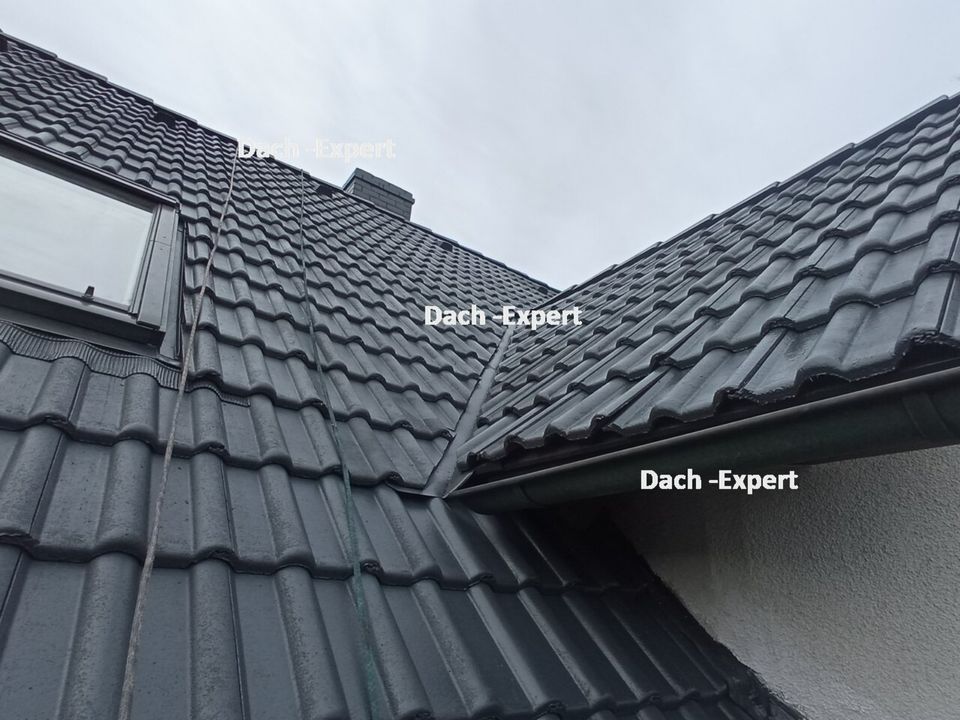 Dachreinigung Dachbesichtung Fassadenreinigung Fassadenanstrich in Dortmund
