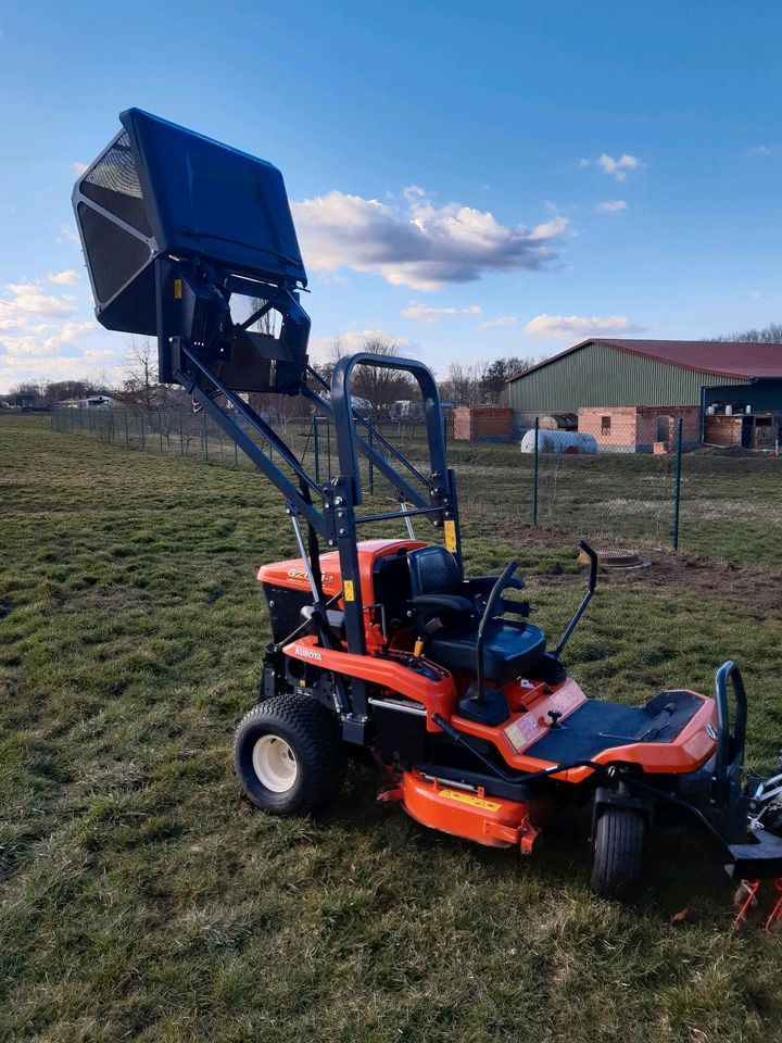 Sportplatz Pflege in Aschersleben