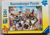 Puzzle 150 Teile Hunde Haustiere Ravensburger Hessen - Birkenau Vorschau