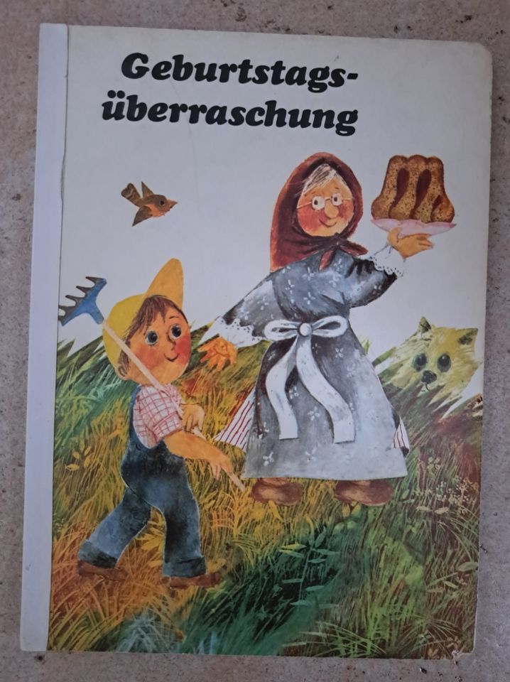 Geburtstags-Überraschung / OSTALGIE, DDR- Pappbilderbuch mit Bild in Merseburg