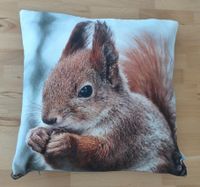 Sofa Kissen Foto Eichhörnchen 40 x 40 cm Baden-Württemberg - Forchtenberg Vorschau