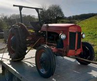 Traktor/Schlepper Massey Ferguson ff30 Bj.1957 Rheinland-Pfalz - Henschtal Vorschau