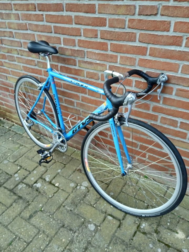 Rennrad Batavus E-Light RH 52 cm ( A ) in Oldenburg