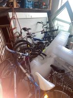 mehrer verschiedene fahrräder zu verkaufen Saarland - Schiffweiler Vorschau
