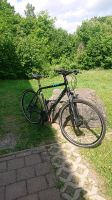 CARVER Cinos 120 Cross Rad Herren 28" Rahmengr. 55 cm TOP Sachsen - Bannewitz Vorschau