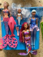 Barbie Meerjungfrauen Set Nordrhein-Westfalen - Burscheid Vorschau