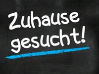 Zuhause gesucht Rheinland-Pfalz - Maikammer Vorschau