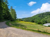 Offenstall im idyllischen Tal mit angrenzendem Wald Rheinland-Pfalz - Rhens Vorschau