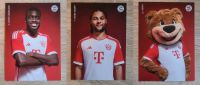 Blanko Autogrammkarten FC Bayern 2023 2024 Gnabry Upamecano Berni Hessen - Melsungen Vorschau