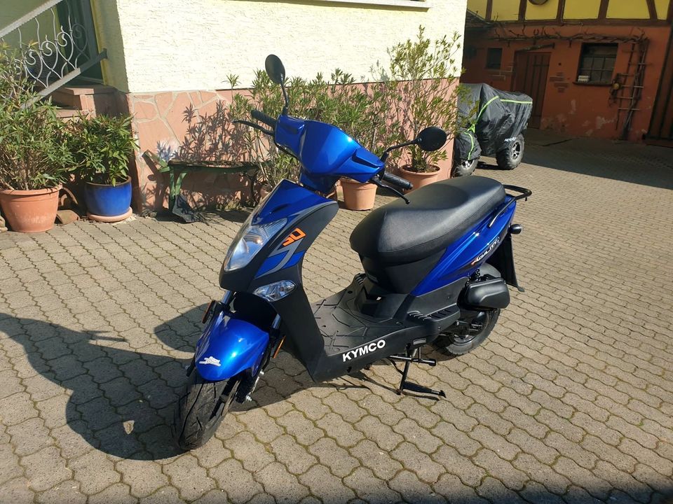 Kymco Roller 45km/h blau in Brachttal