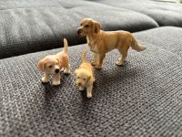 Schleich Golden Retriever und 2 Welpen Nordrhein-Westfalen - Mönchengladbach Vorschau