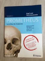 Prometheus Anatomie Physiotherapie Nordvorpommern - Landkreis - Marlow Vorschau