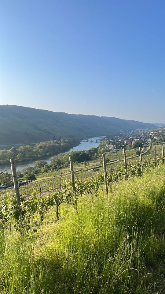 Ferienhaus Ankerpunkt Zell 2 - 6 P Urlaub verfügbar in Zell (Mosel)