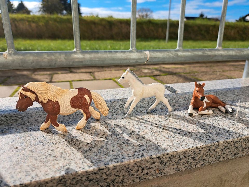 Schleich Pferde in Ossa (Narsdorf)