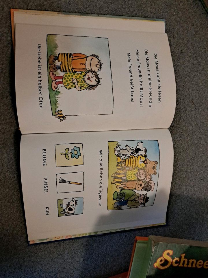 Kinderbuch wie der tiger legend lernt in Berlin
