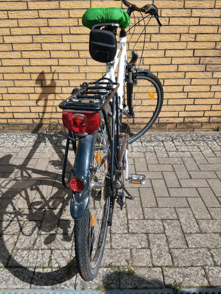 Fahrrad Trekking Herren 28 Zoll von Prophete in Ribbesbüttel