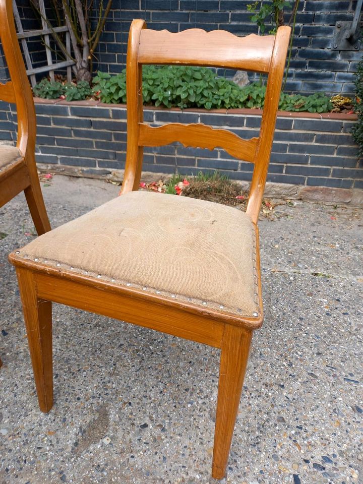 6 Stühle Massivholz braun mit Polster beige, vintage in Frielendorf