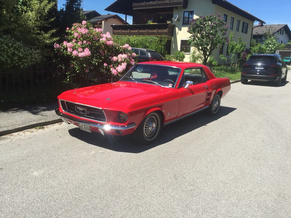 Ford Mustang in Teisendorf