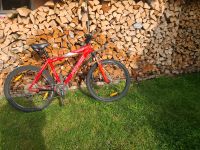 Cross, Mountainbike,  Fahrrad, Specialized Hardrock Sport Brandenburg - Schorfheide Vorschau