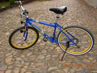 Fahrrad Conway 6015 Sachsen - Rossau (Sachsen) Vorschau