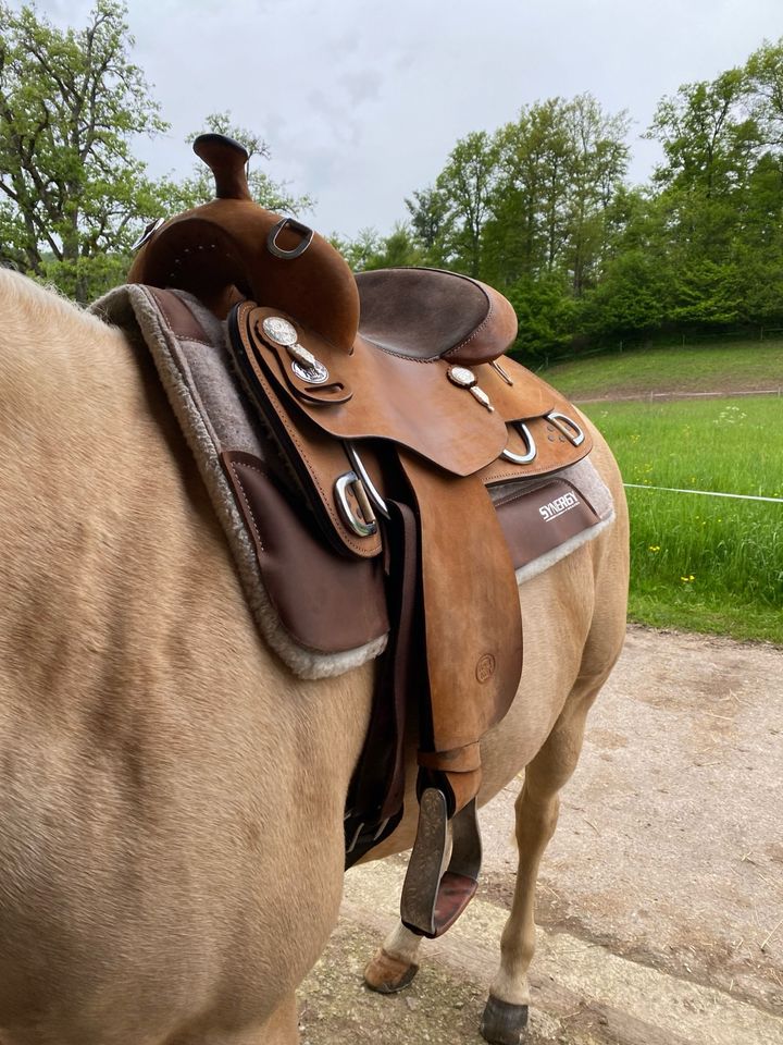 Royal King Roughout Trainingssattel Westernsattel in Wieslet