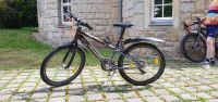 Puky Crusader Fahrrad 24 Zoll Dresden - Bühlau/Weißer Hirsch Vorschau