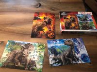 3 Puzzle a 48 Teile Jurassic World *vollständig* Bayern - Untergriesbach Vorschau