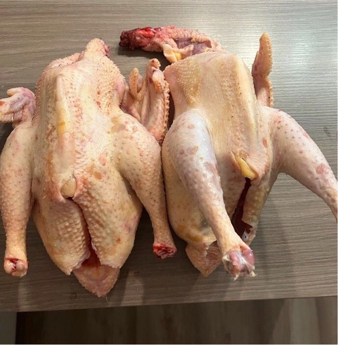 Suppenhuhn freilandhaltung in Prenzlau