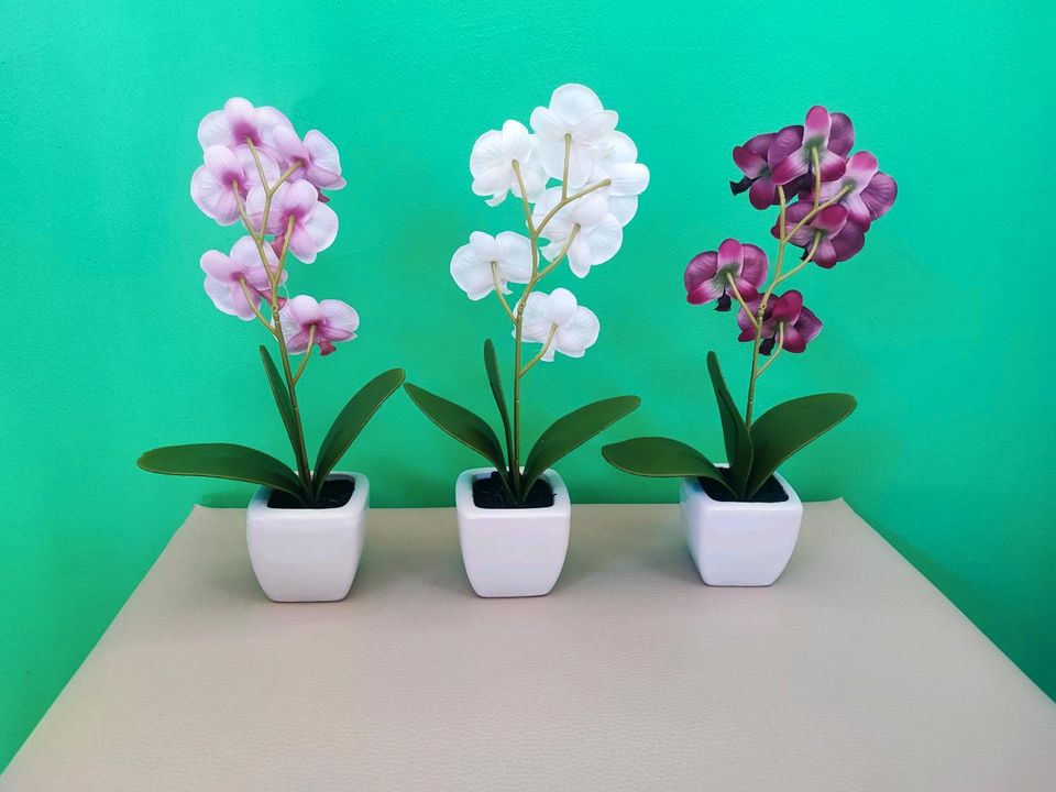 3 er Set niedliche Orchideen, ca. 25 cm hoch in Berlin