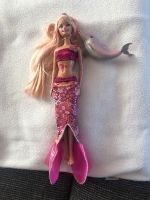 Barbie mit Delphin Verwandlungsbarbie Hessen - Vellmar Vorschau