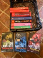 Urlaubslektüre Romane  Krimis Stieg Larsson u.a. Niedersachsen - Winsen (Luhe) Vorschau