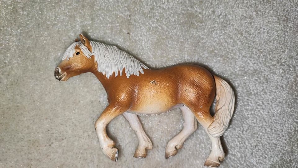 Schleich Haflinger in Radbruch