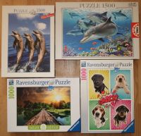 Puzzle 1000 / 1500 Delfine Welpen Nature Nr. 3 Ravensburger u. a. Dresden - Dresden-Plauen Vorschau
