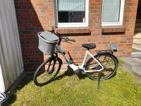 Falter E-Bike mit Bosch Motor!!! Wenig gelaufen !!!! Schleswig-Holstein - Bad Segeberg Vorschau