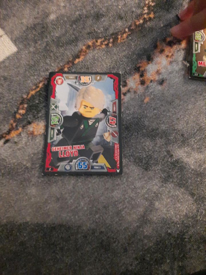 13 Ninjago Karten jeder 1 € wert in Leipzig