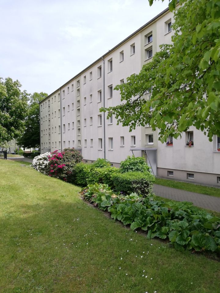 **Helle 3 Raumwohnung mit Balkon und schönen Ausblick** in Riesa