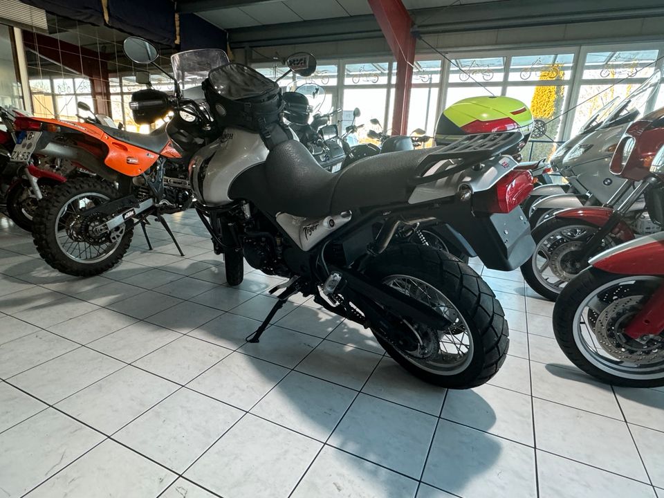 Triumph Tiger 955i in Volkmarsen