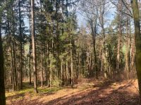 Landwirtschaftliche Forst / Waldfläche im Bereich Dietfurt Bayern - Beilngries Vorschau