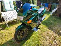 Kawasaki zzr 600cc. 100ps Rheinland-Pfalz - Neuwied Vorschau