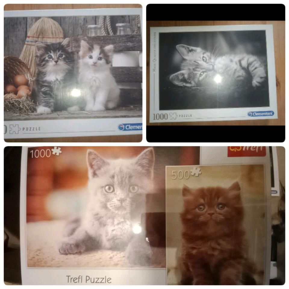 4 Katzen  Puzzle neu und originalverpackt in Hirschfelde