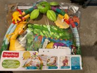 Fisher-Price Rainforest Rheinland-Pfalz - Neustadt an der Weinstraße Vorschau