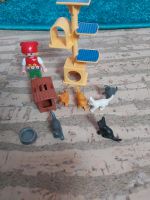 Playmobil Katzen Bayern - Ammerthal Vorschau